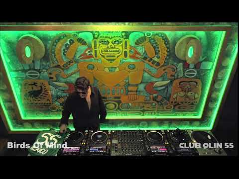 ALEX HEIM  - BIRDS OF MIND | Club Olin 55